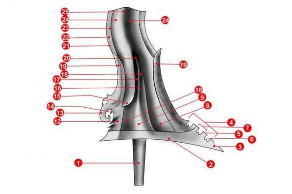 ricikan-keris ricikan-keris