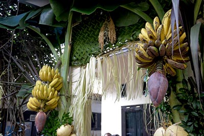 tarub-pengaantin-jawa