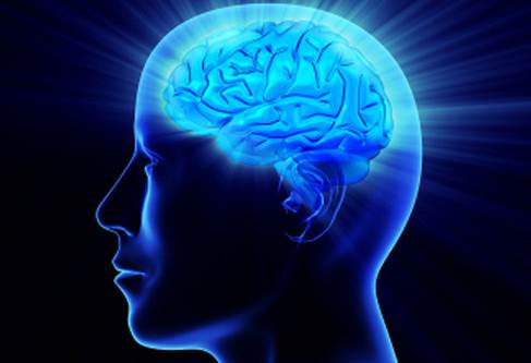 cara-meningkatkan-kecerdasan-otak-anak