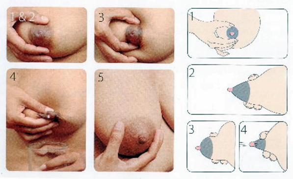 cara-memerah-asi-dengan-tangan-2