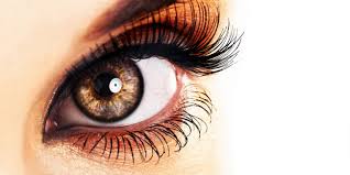 retina-mata-robek-saat-persalinan retina-mata-robek-saat-persalinan