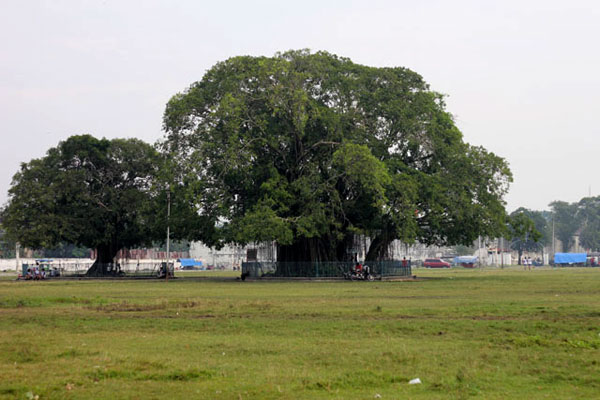 alun-alun-kidul-keraton-surakarta-goid