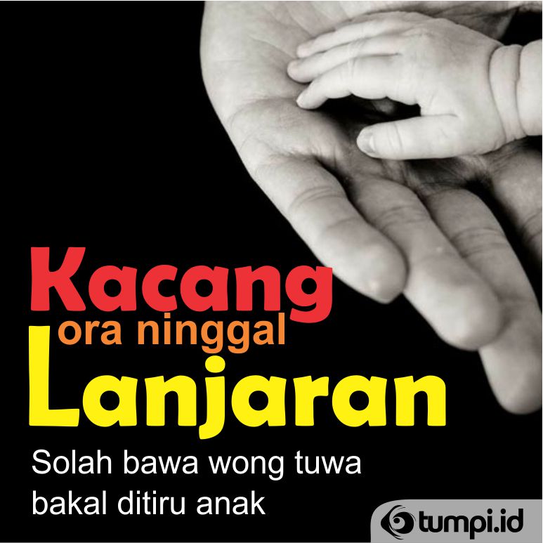 kacang ora ninggal lanjaran