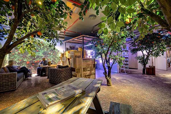 kantor-unik-dan-keren-Google-Where-Innovation-Grows