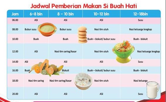 jadwal makan bayi 6 bulan