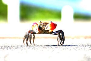 Kesalahan umum yang juga bisa terjadi dalam proses editing Kesalahan umum yang juga bisa terjadi dalam proses editing