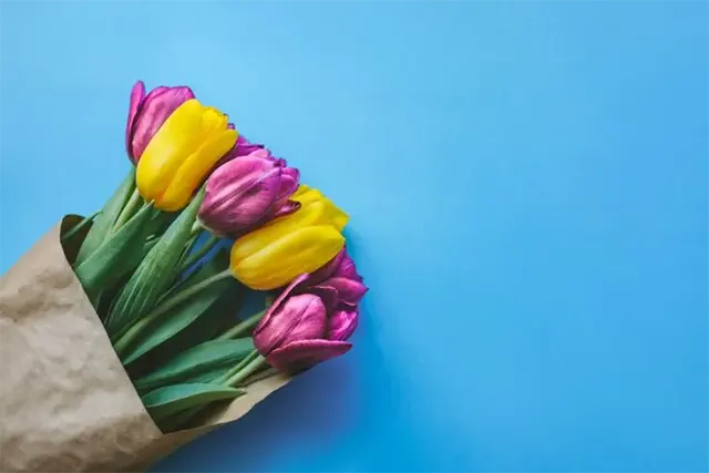 Contoh penggunaan skema warna tetradik