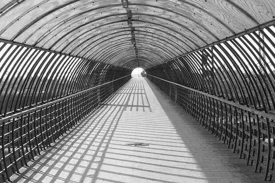 penggunaan elemen garis dalam seni fotografi