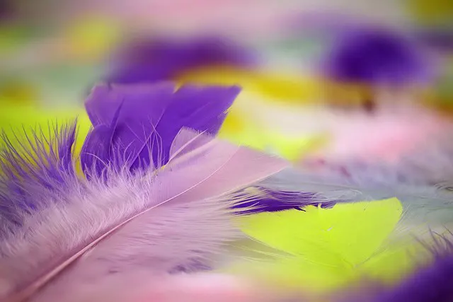 split komplementer dalam karya